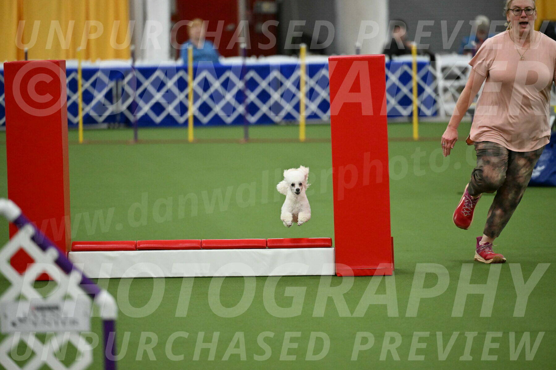 MAS-EX-STD-4-8-Inch_4845