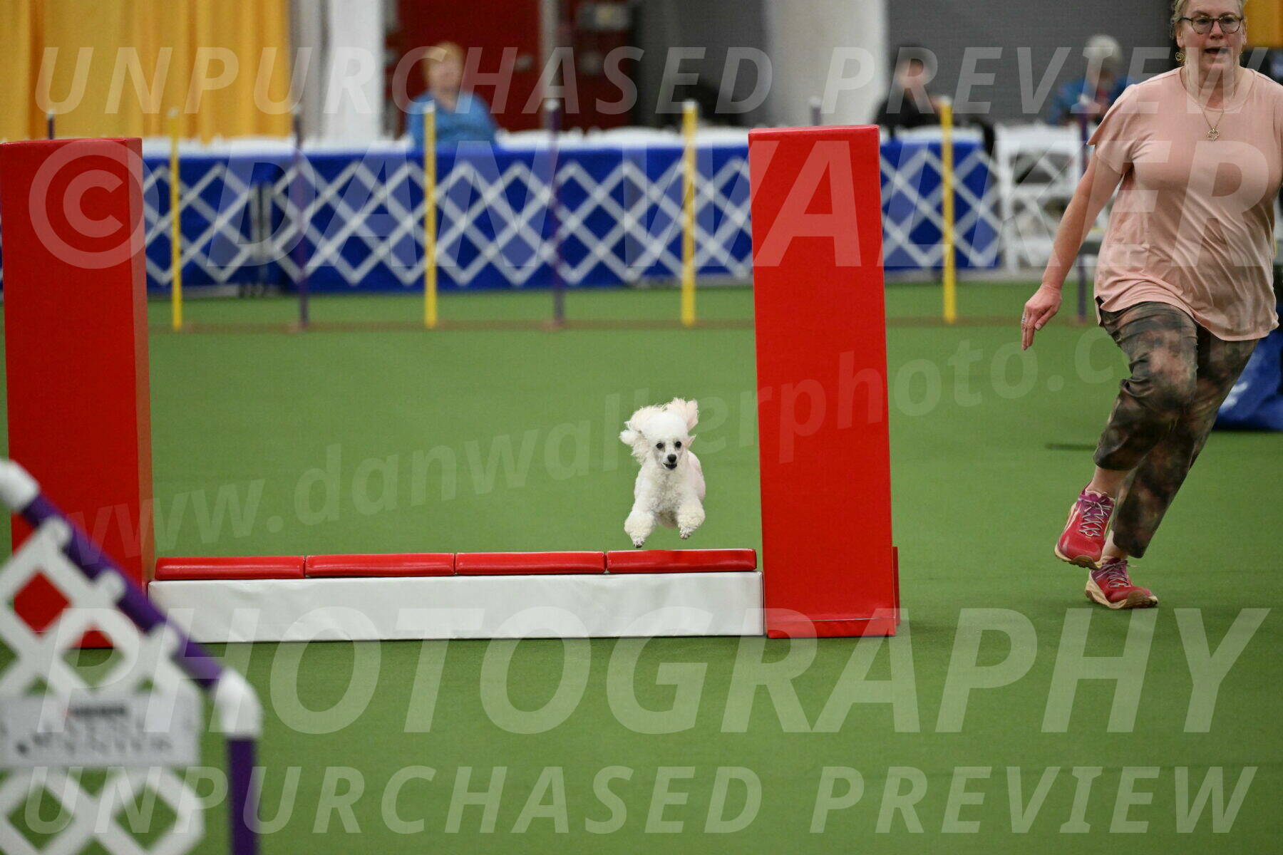 MAS-EX-STD-4-8-Inch_4846