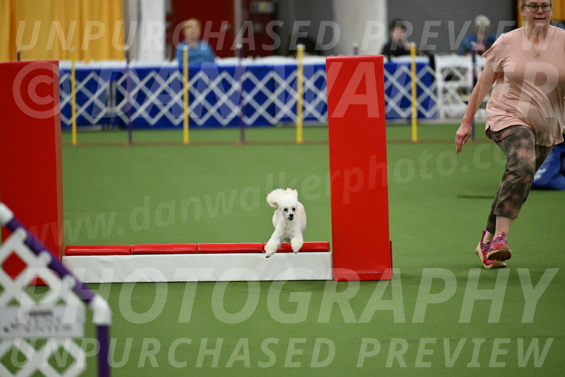 MAS-EX-STD-4-8-Inch_4847