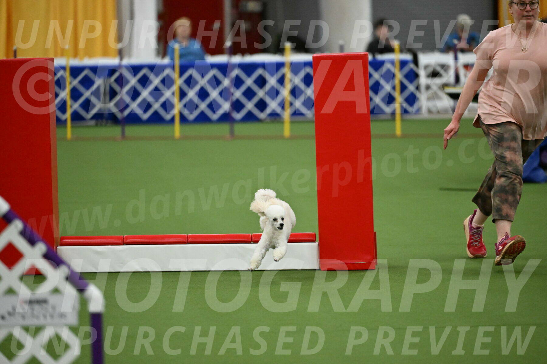 MAS-EX-STD-4-8-Inch_4848