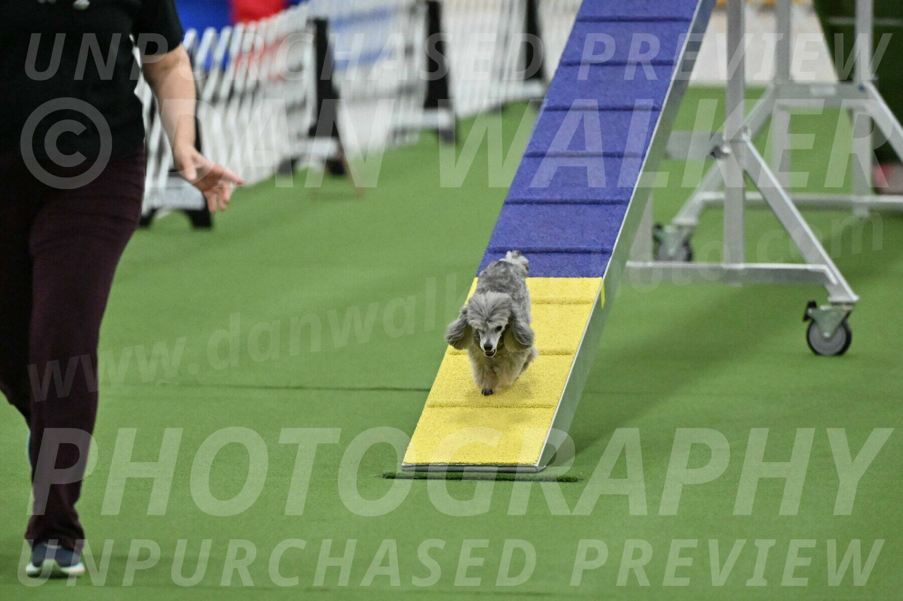 MAS-EX-STD-4-8-Inch_4933