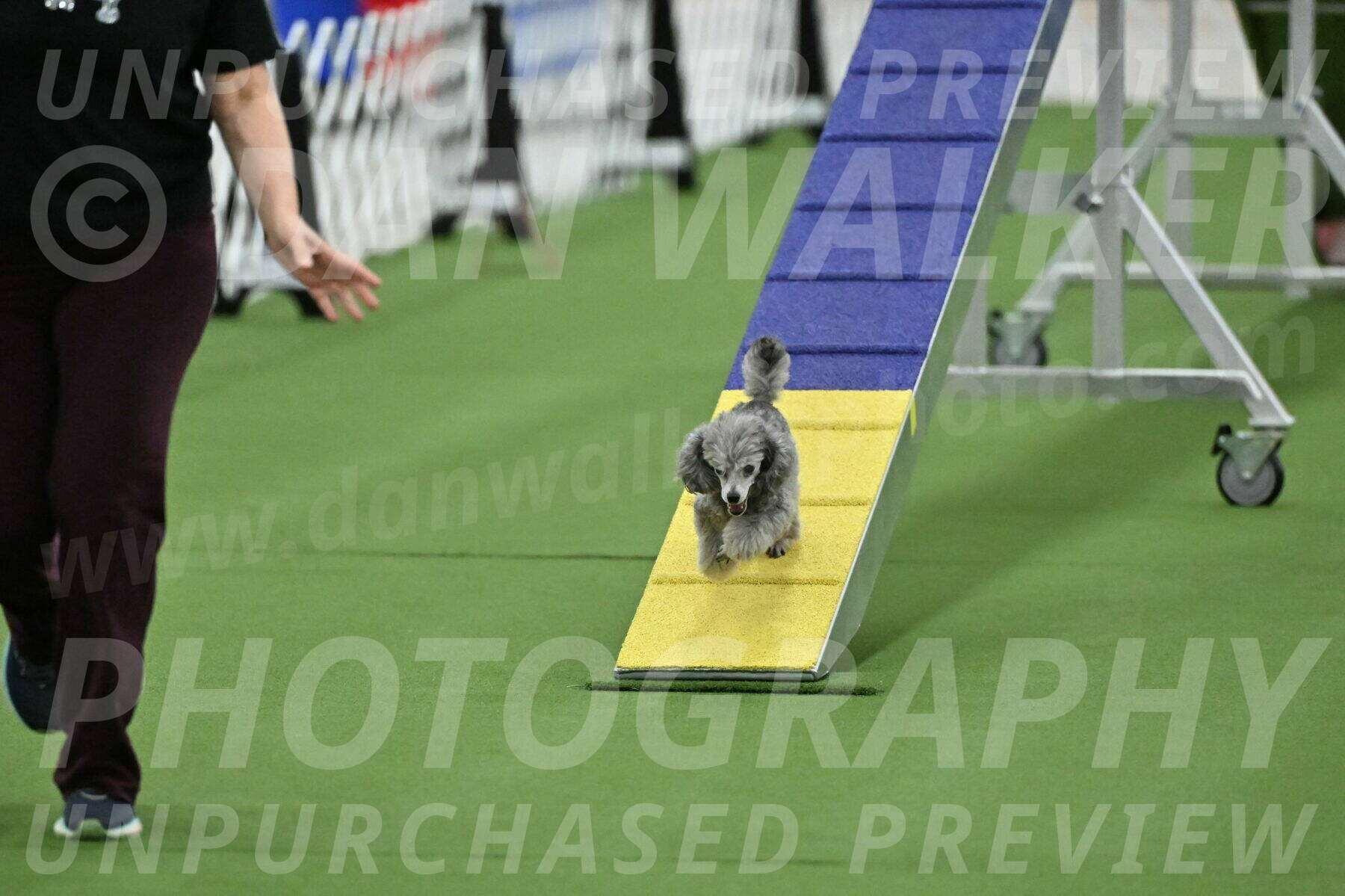 MAS-EX-STD-4-8-Inch_4934