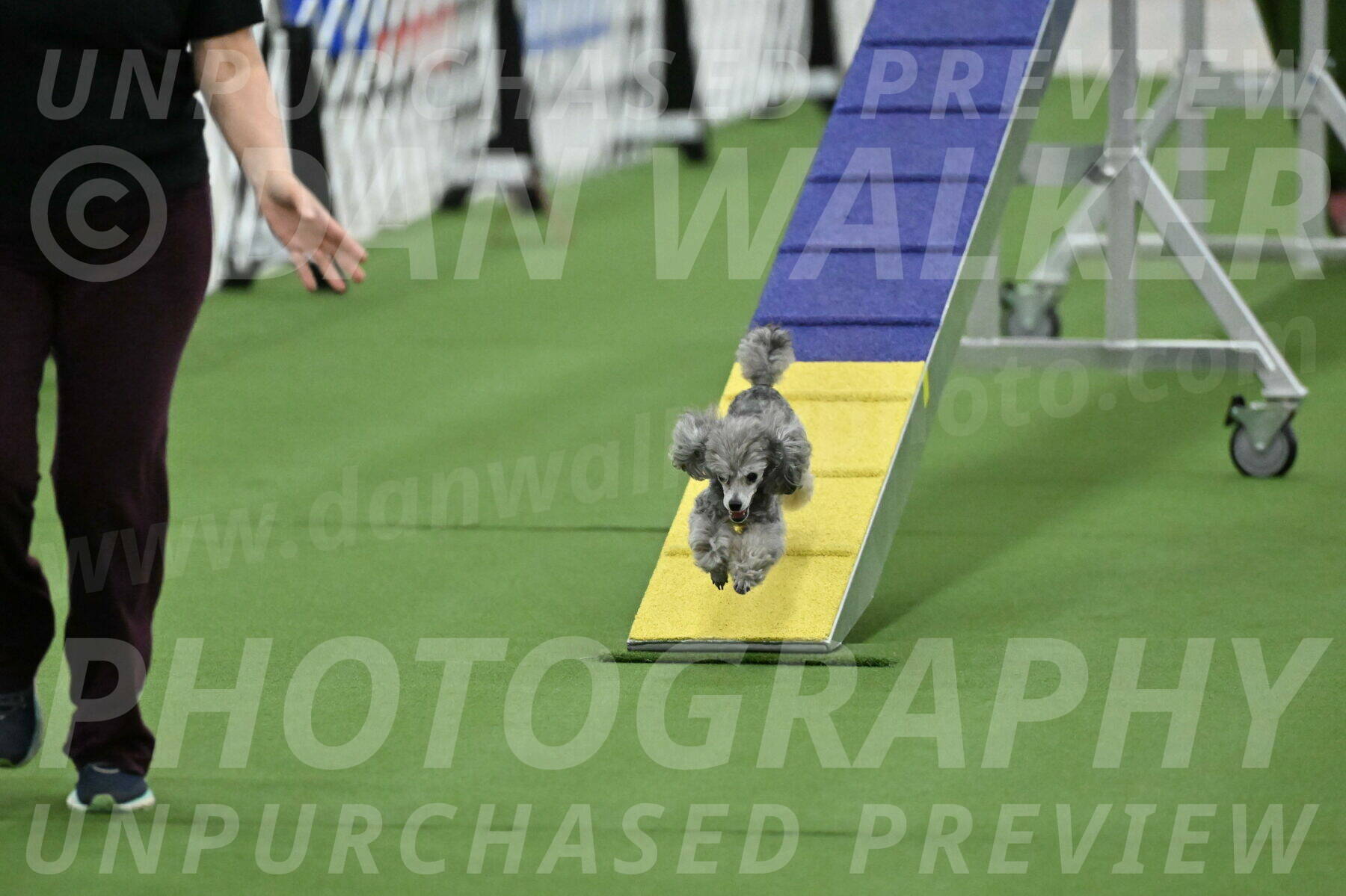 MAS-EX-STD-4-8-Inch_4935