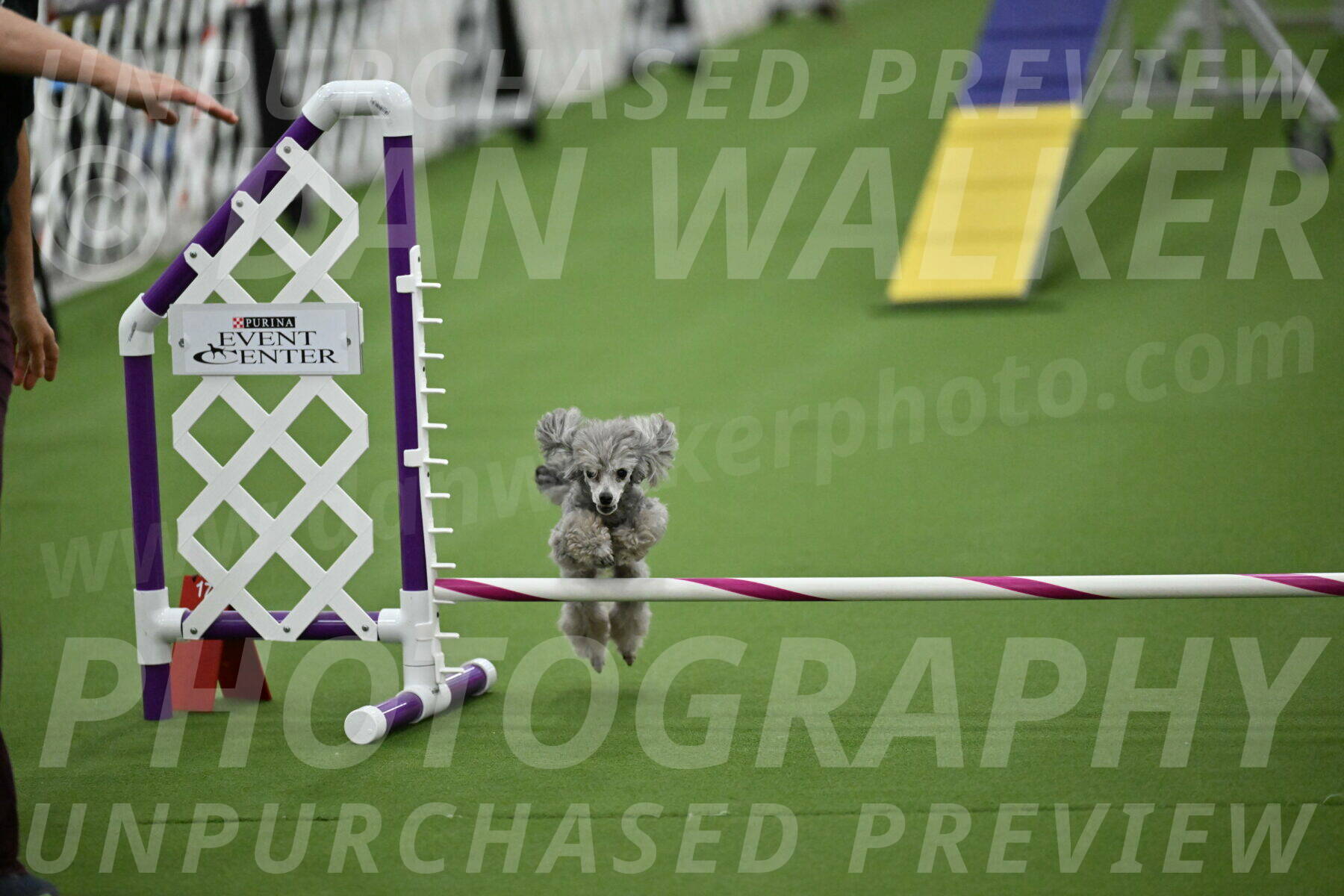 MAS-EX-STD-4-8-Inch_4948