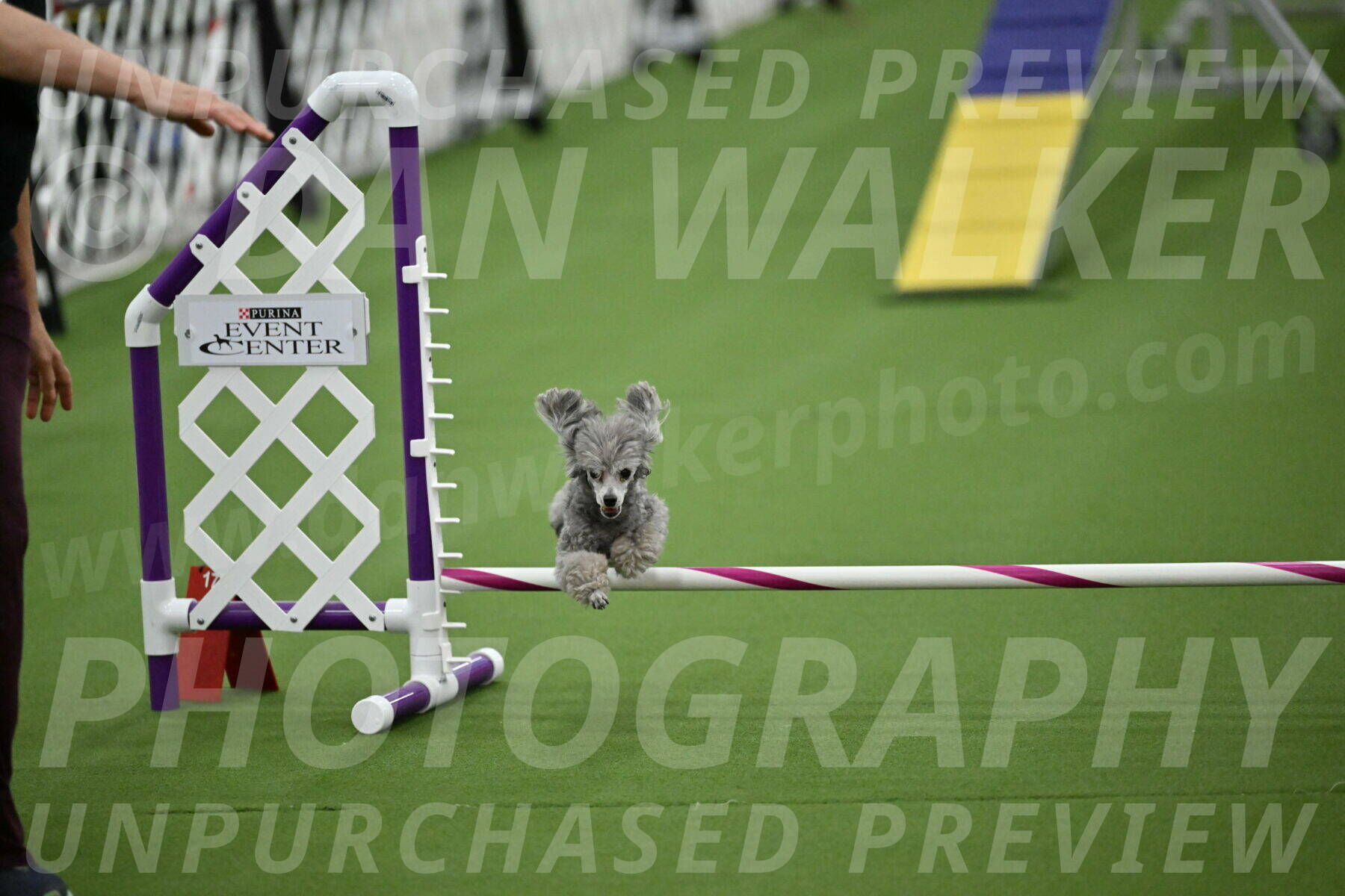 MAS-EX-STD-4-8-Inch_4949