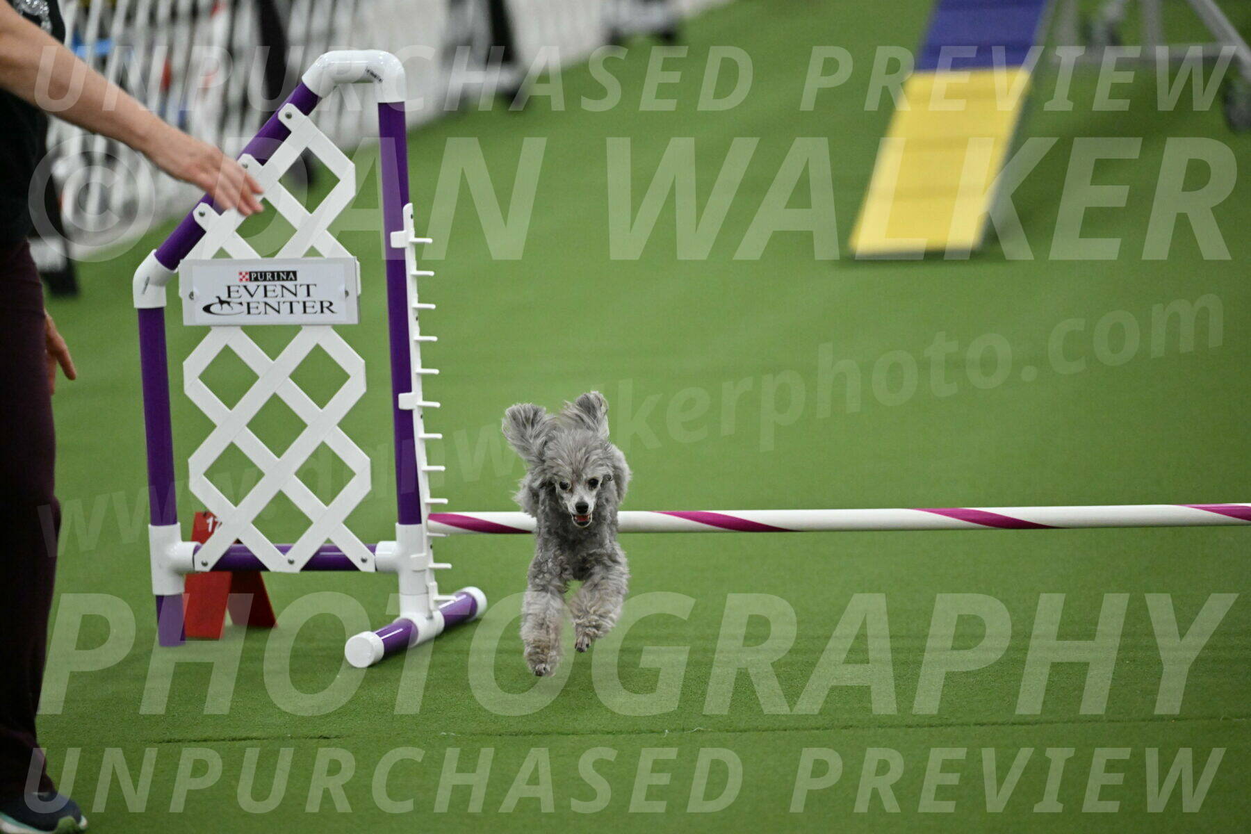 MAS-EX-STD-4-8-Inch_4951