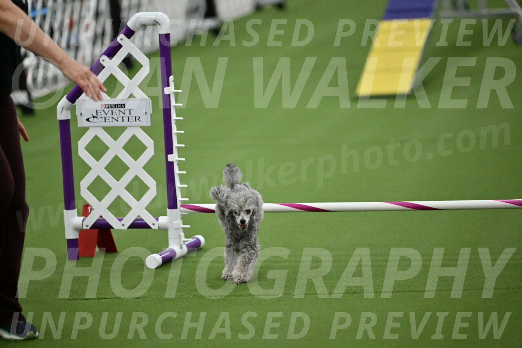 MAS-EX-STD-4-8-Inch_4952