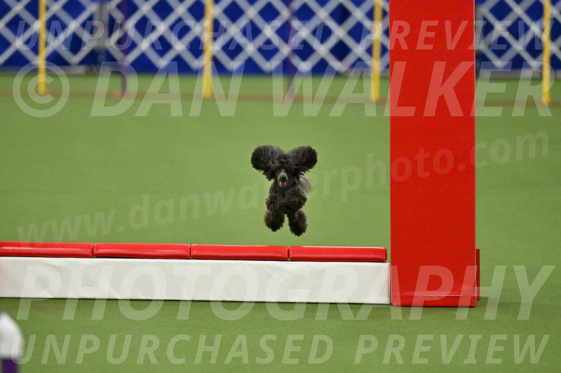 MAS-EX-STD-4-8-Inch_4972