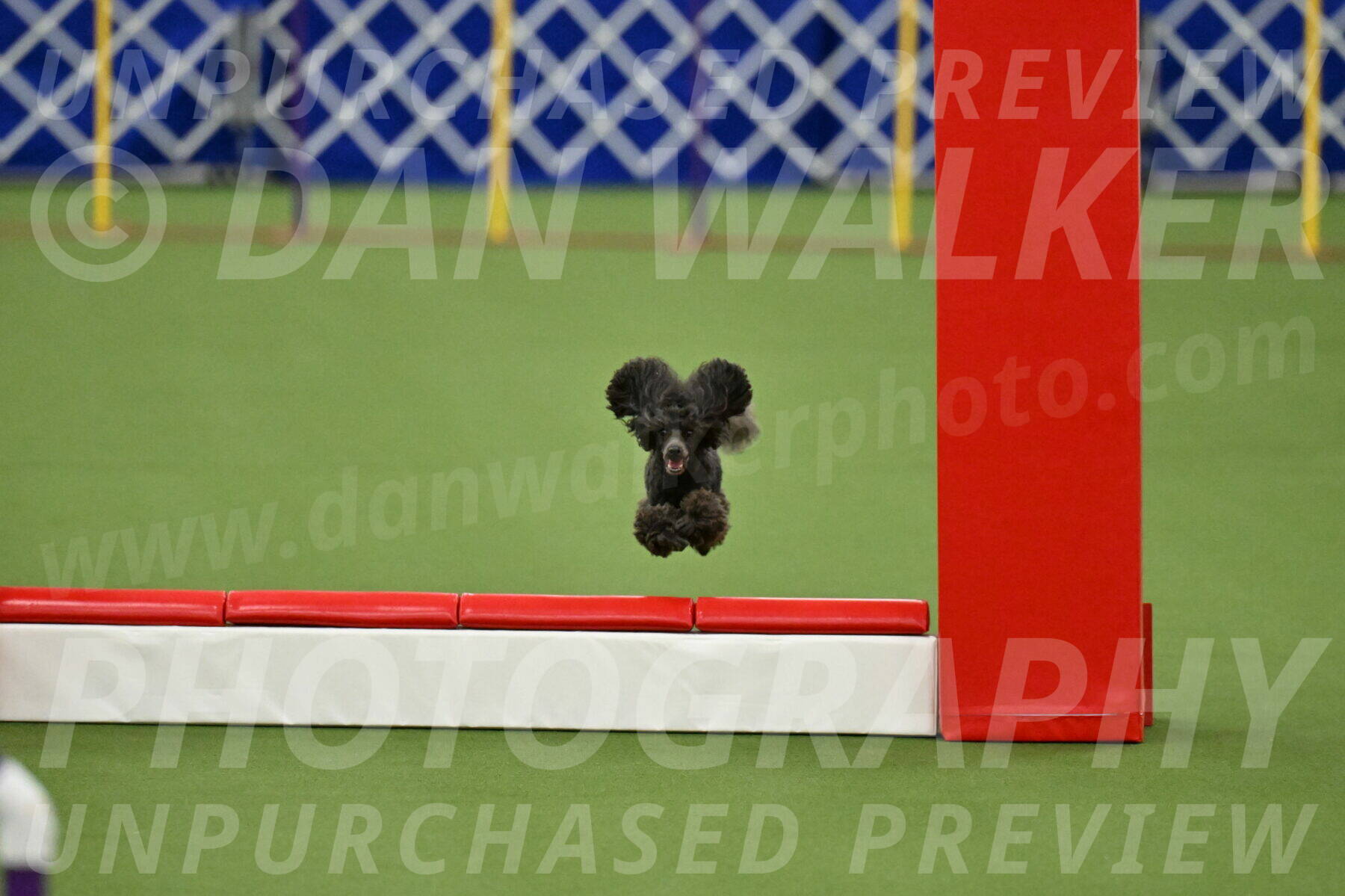 MAS-EX-STD-4-8-Inch_4973