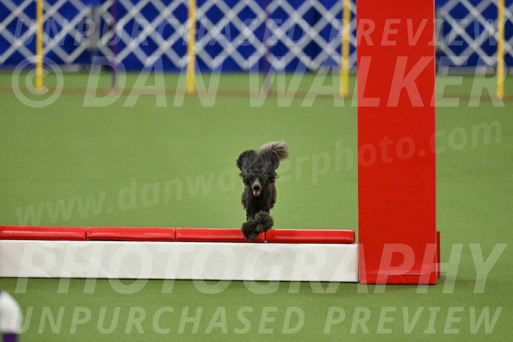 MAS-EX-STD-4-8-Inch_4974