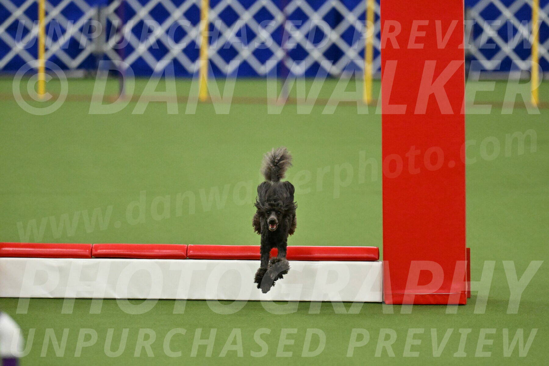 MAS-EX-STD-4-8-Inch_4975