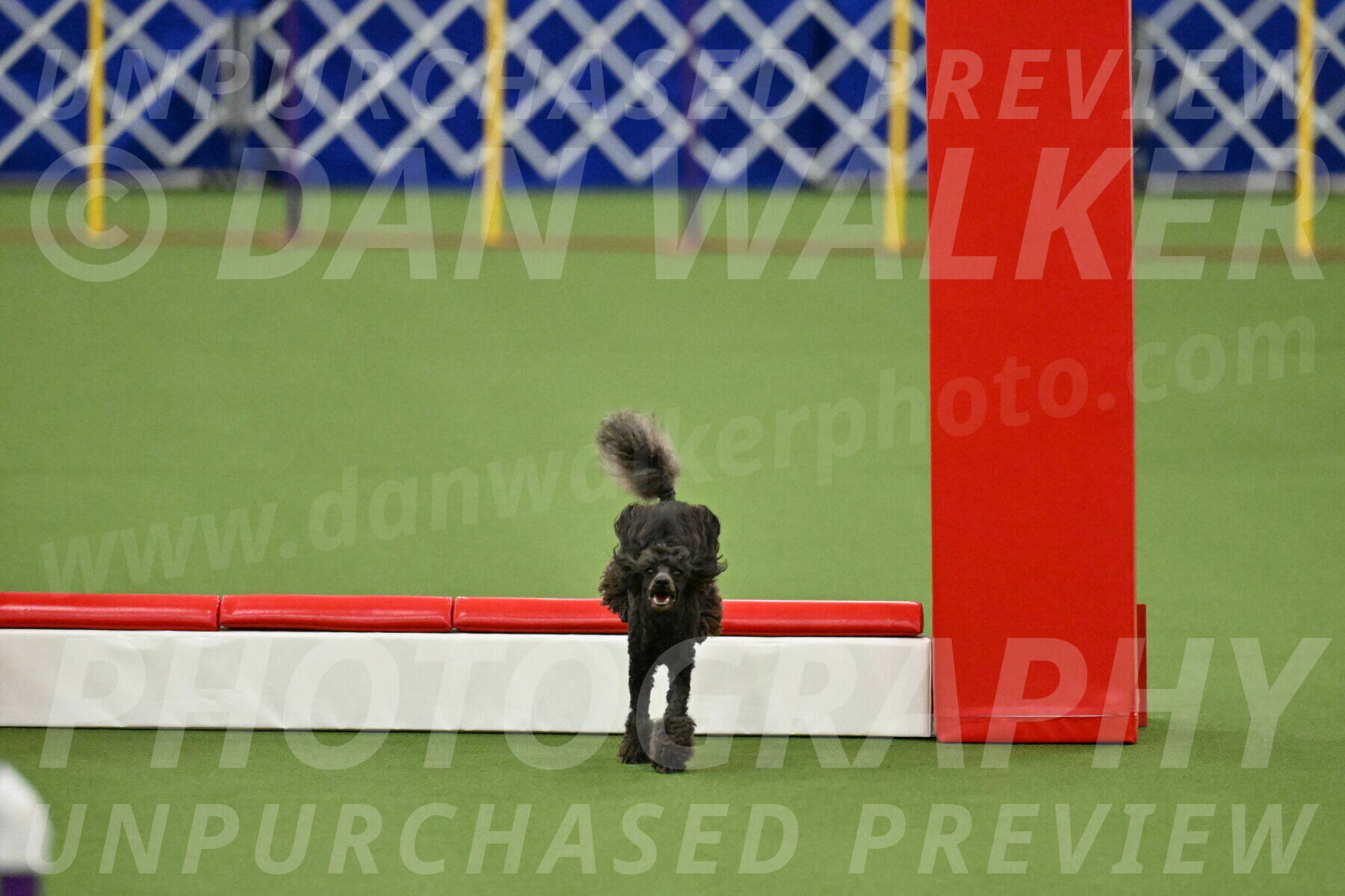 MAS-EX-STD-4-8-Inch_4976