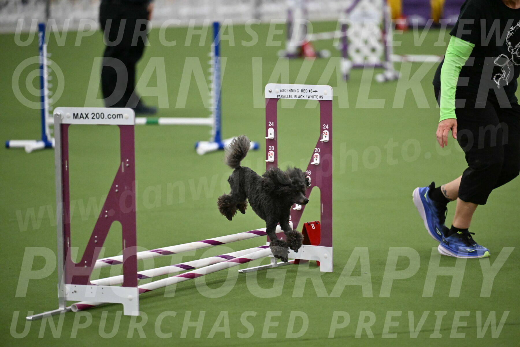 MAS-EX-STD-4-8-Inch_4981