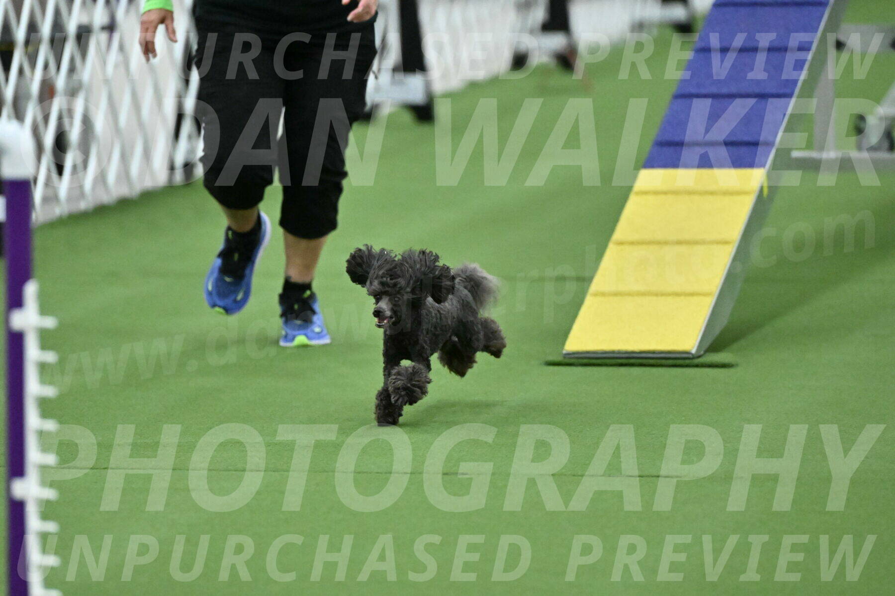 MAS-EX-STD-4-8-Inch_4992