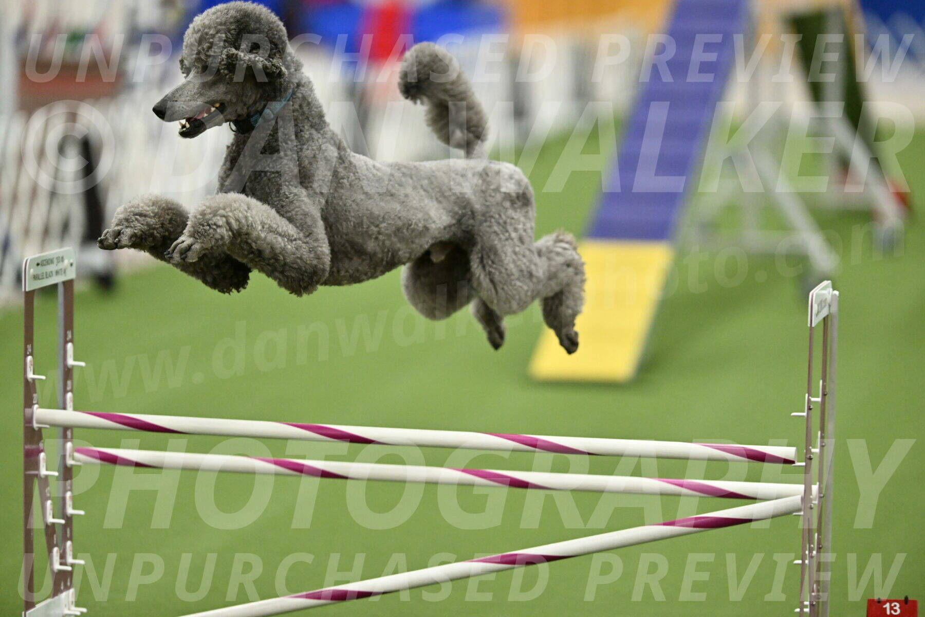 NOV-STD-ALL_9752