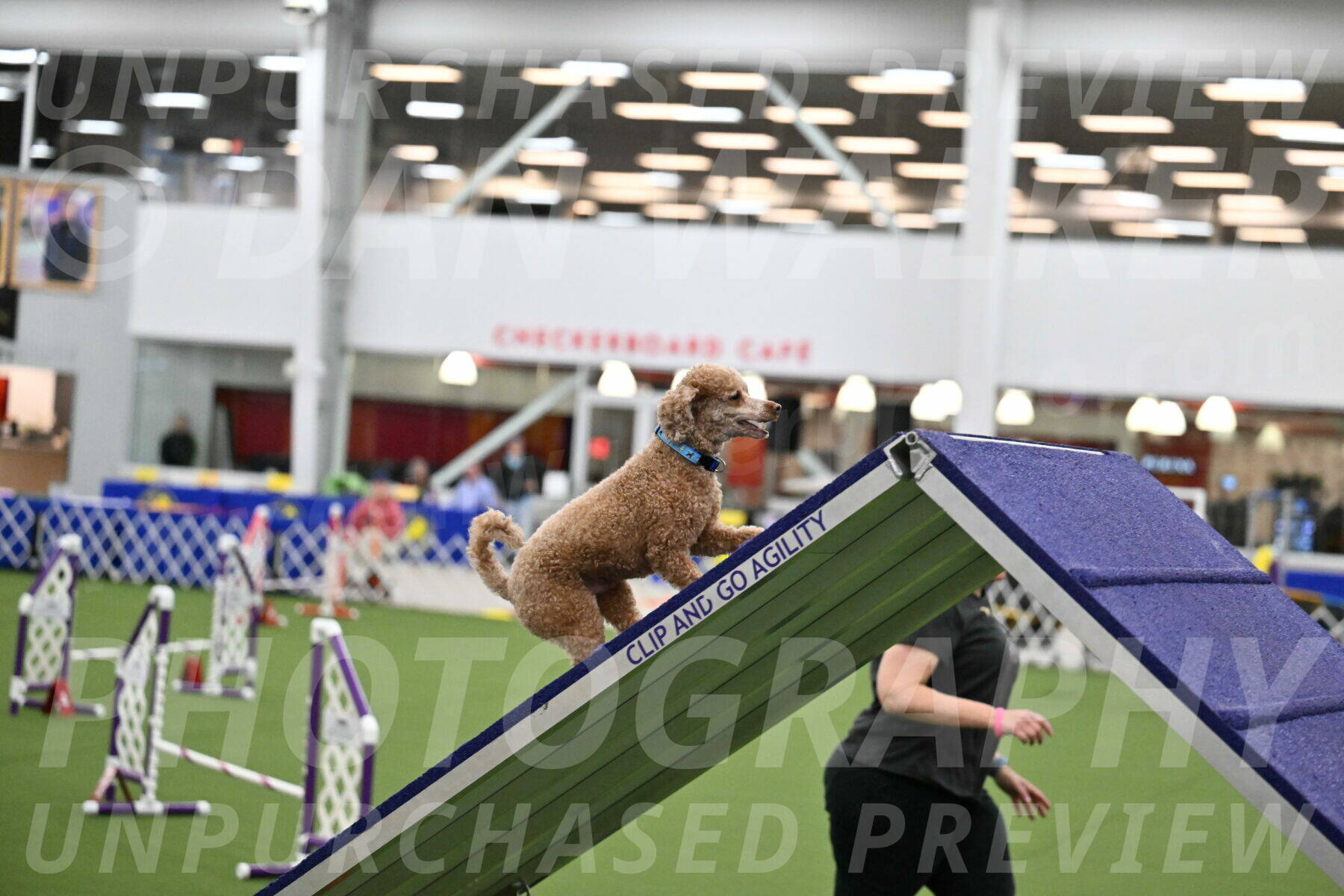 T2B-12-Inch_0764