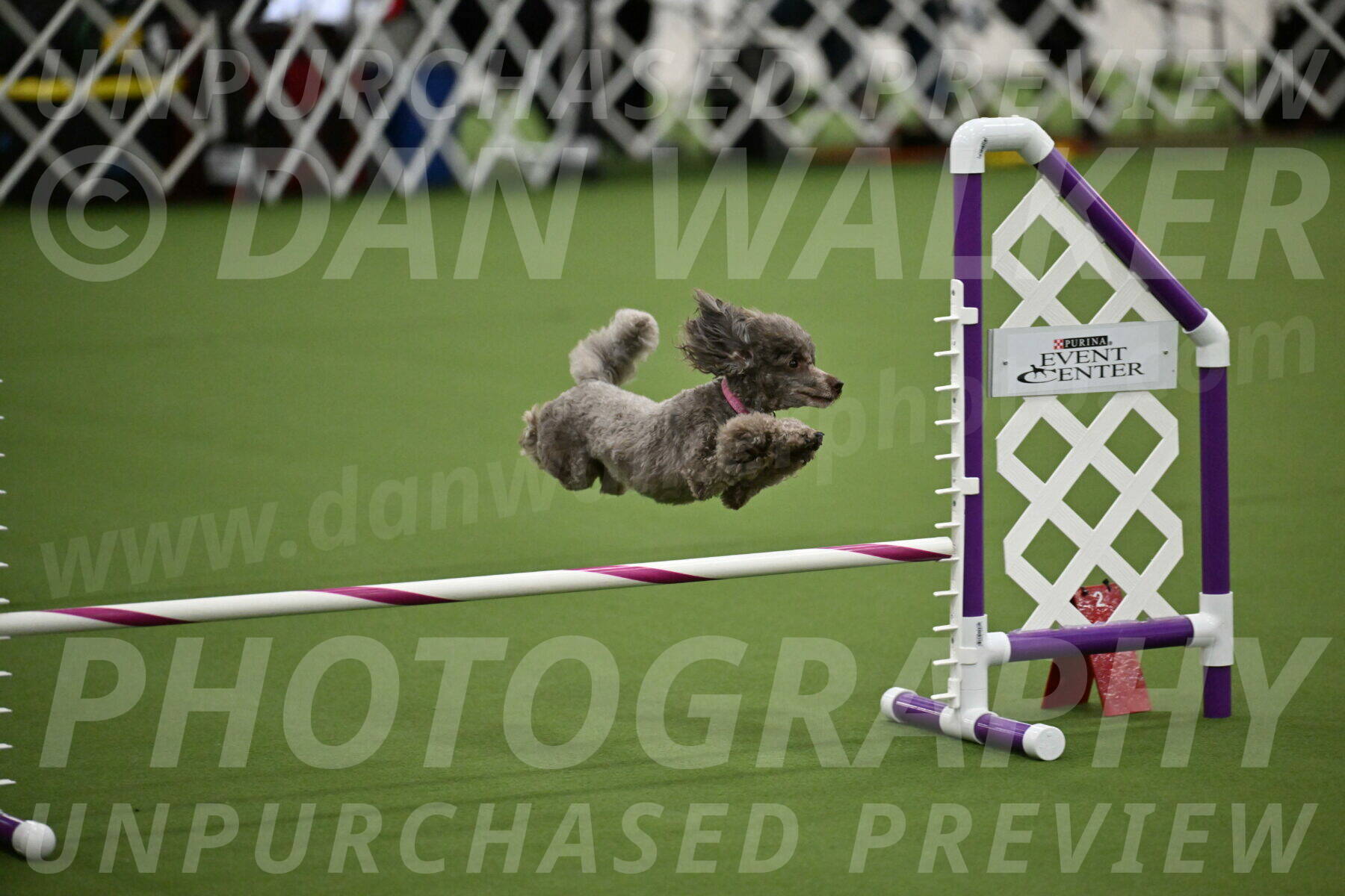T2B-12-Inch_1023