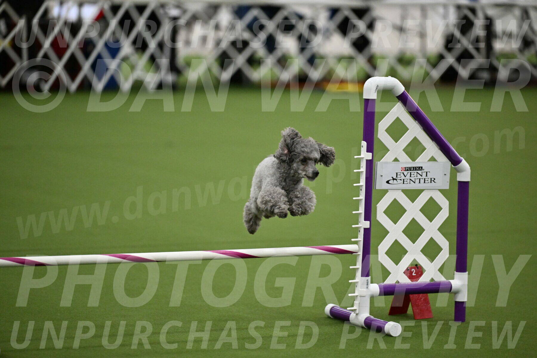 T2B-12-Inch_1081