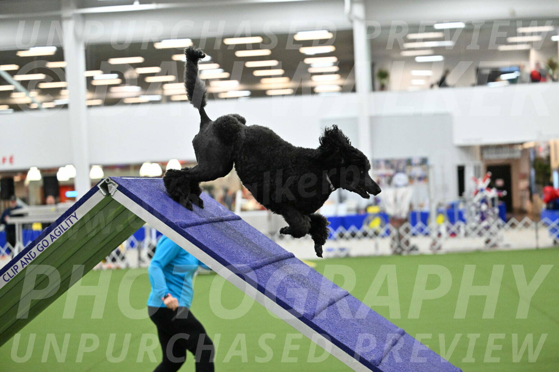 T2B-16-Inch_1771