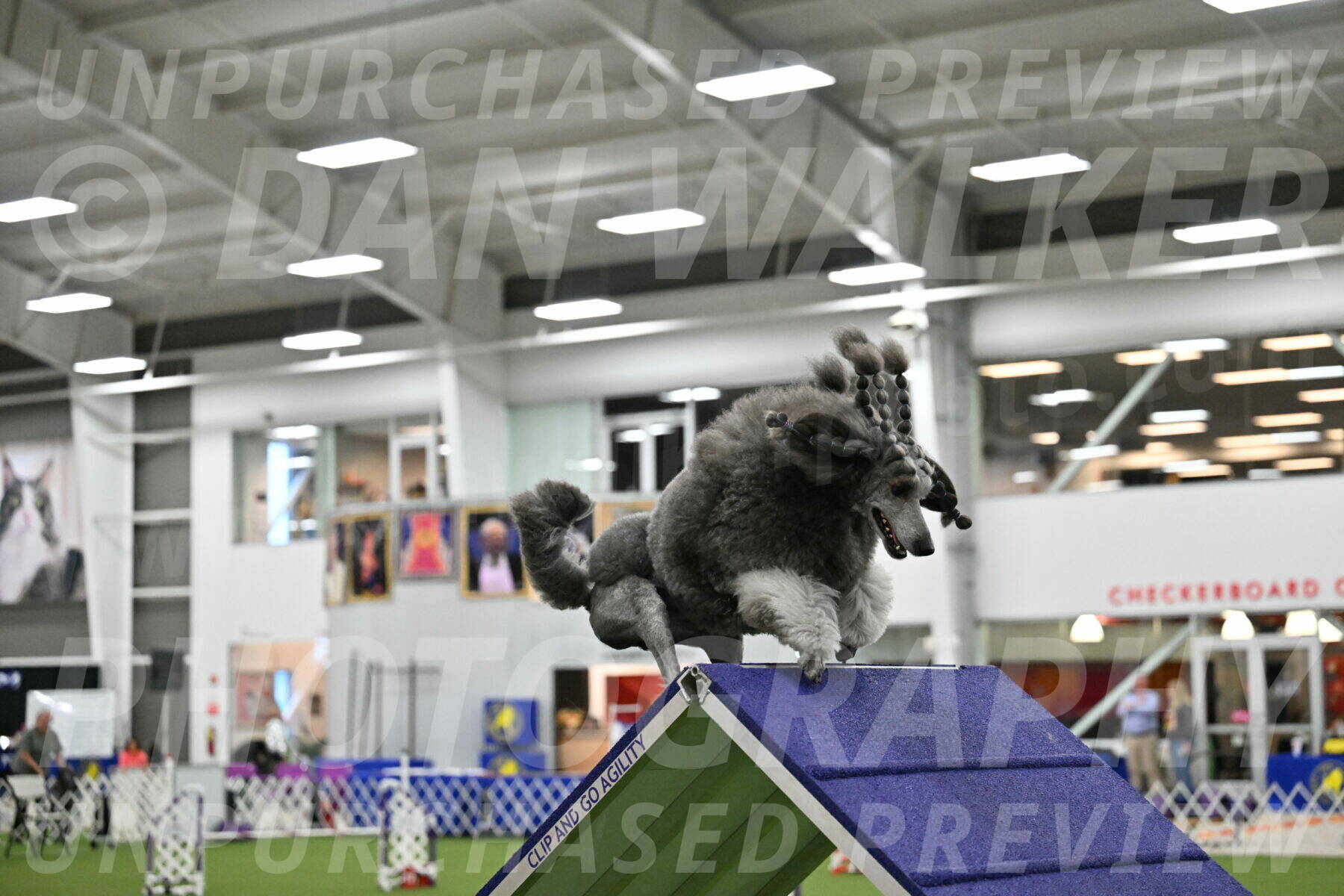 T2B-20-Inch_2527
