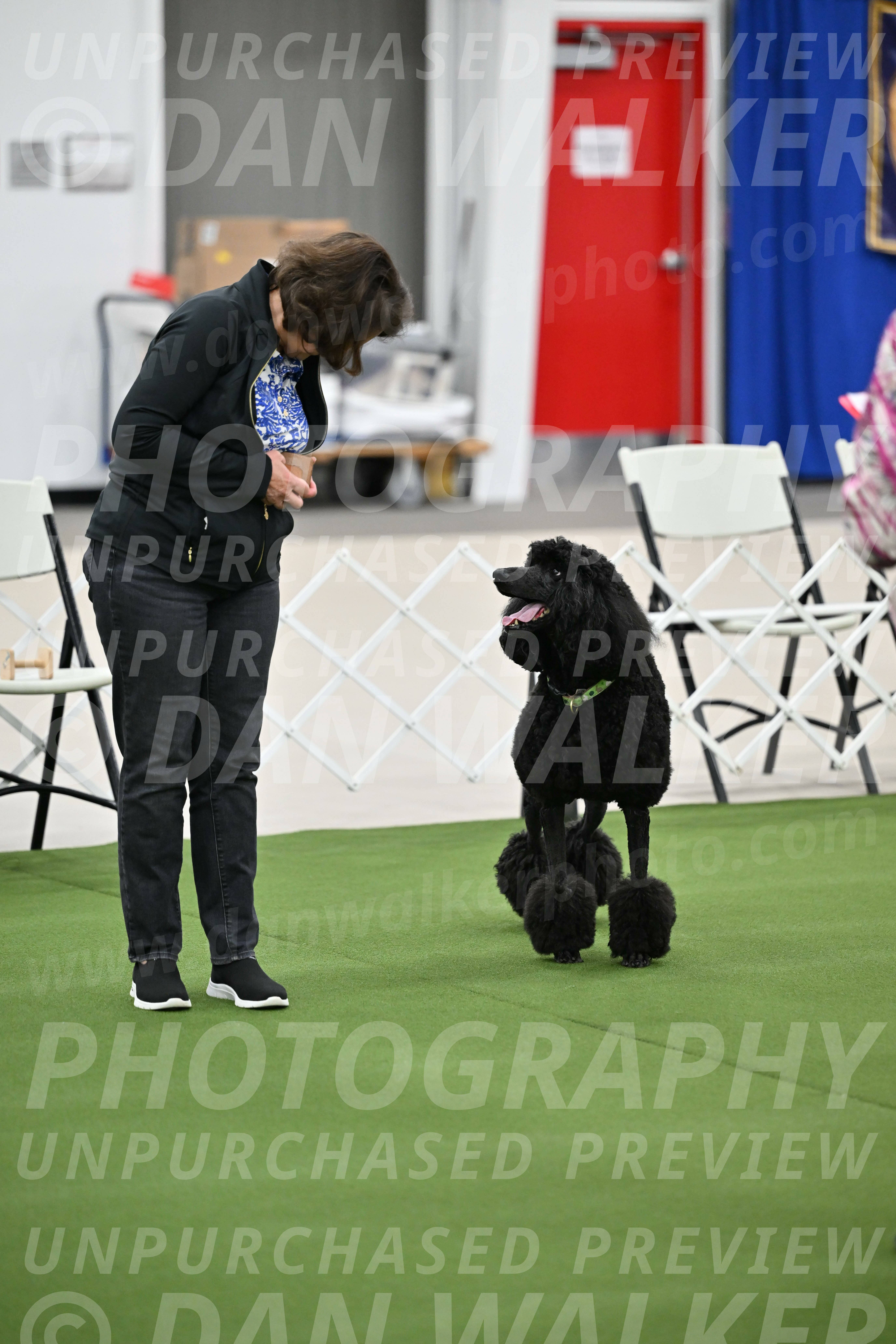 Ring-1-Afternoon-Obedience_2190