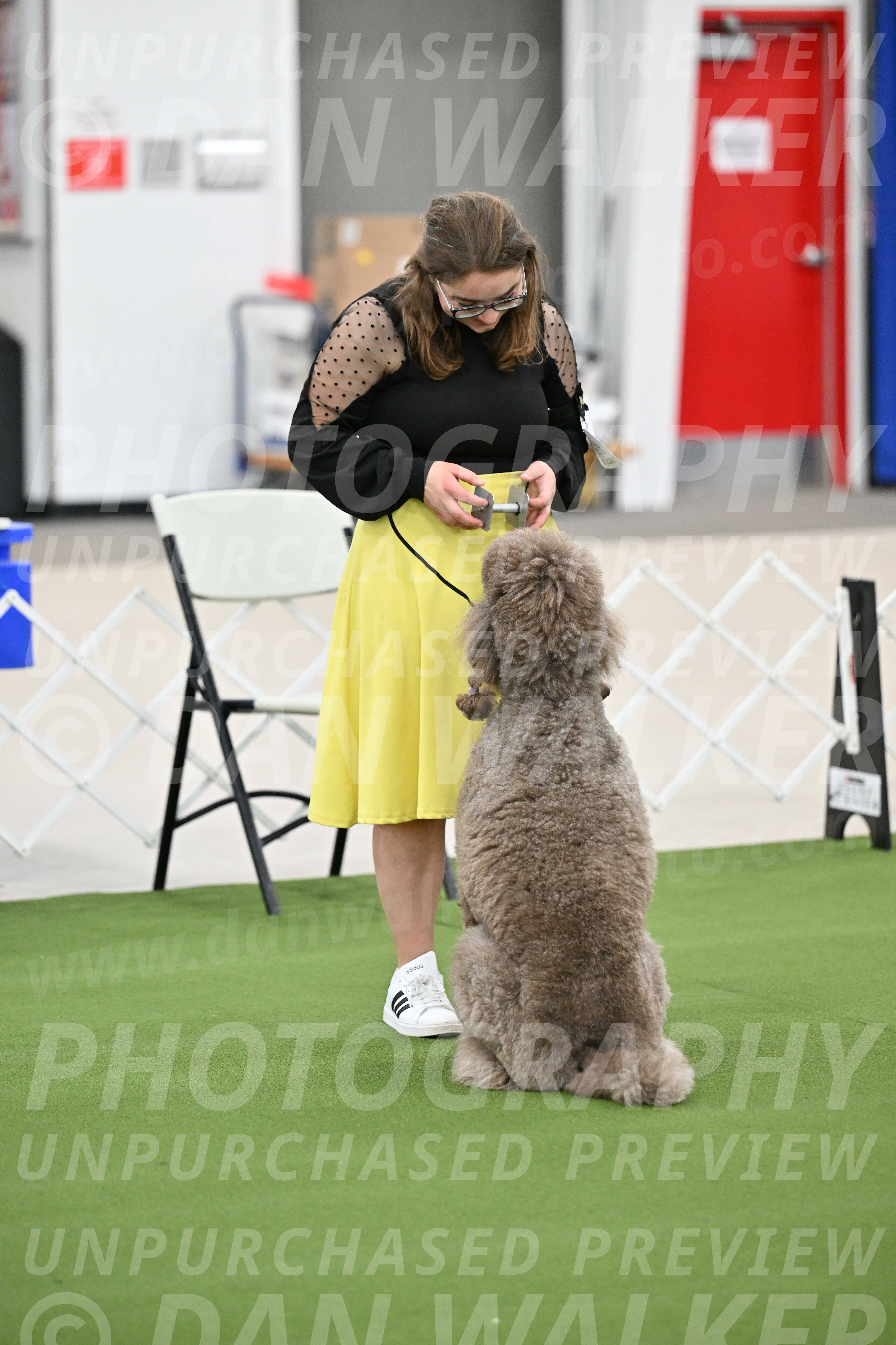 Ring-1-Afternoon-Obedience_2265