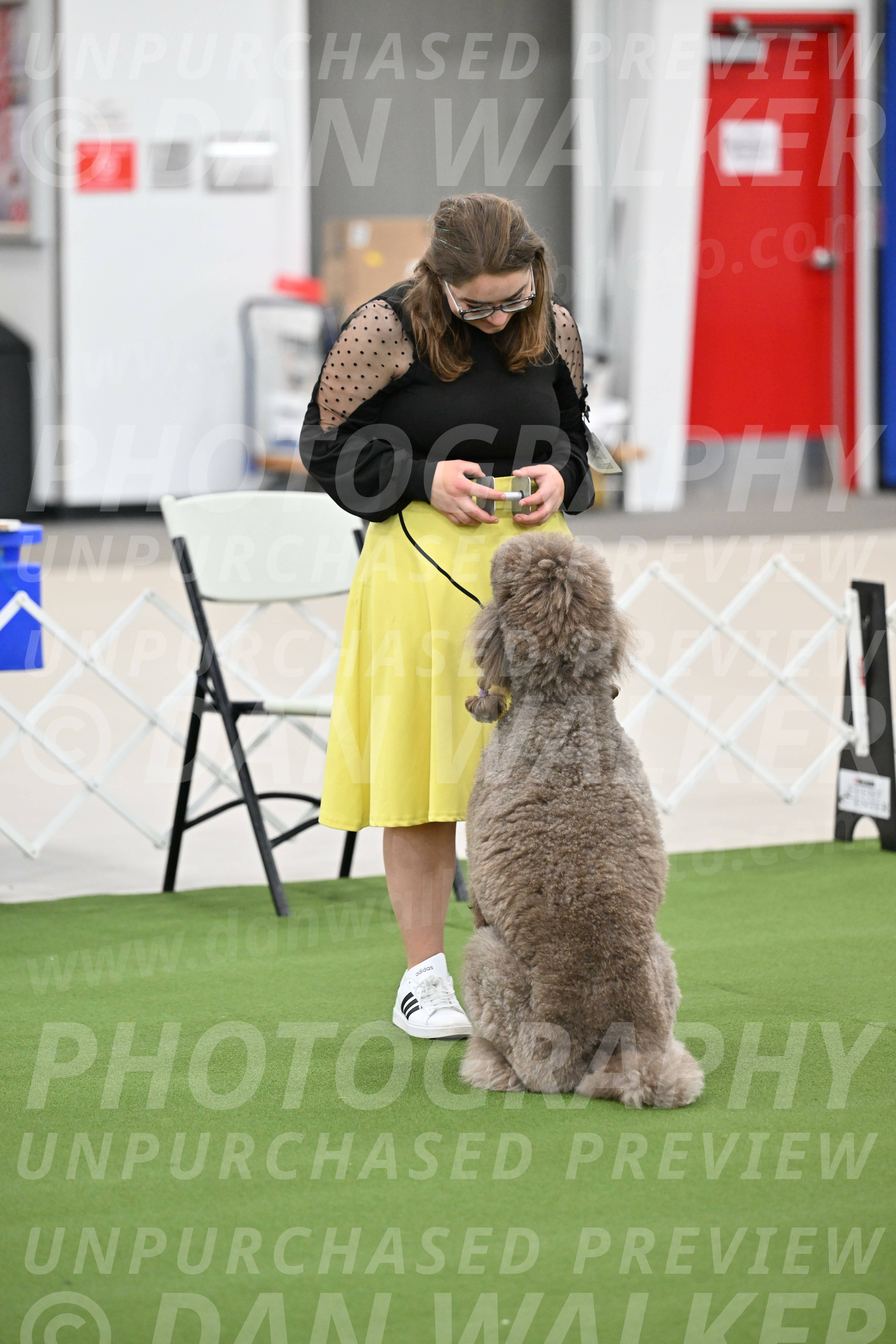 Ring-1-Afternoon-Obedience_2267