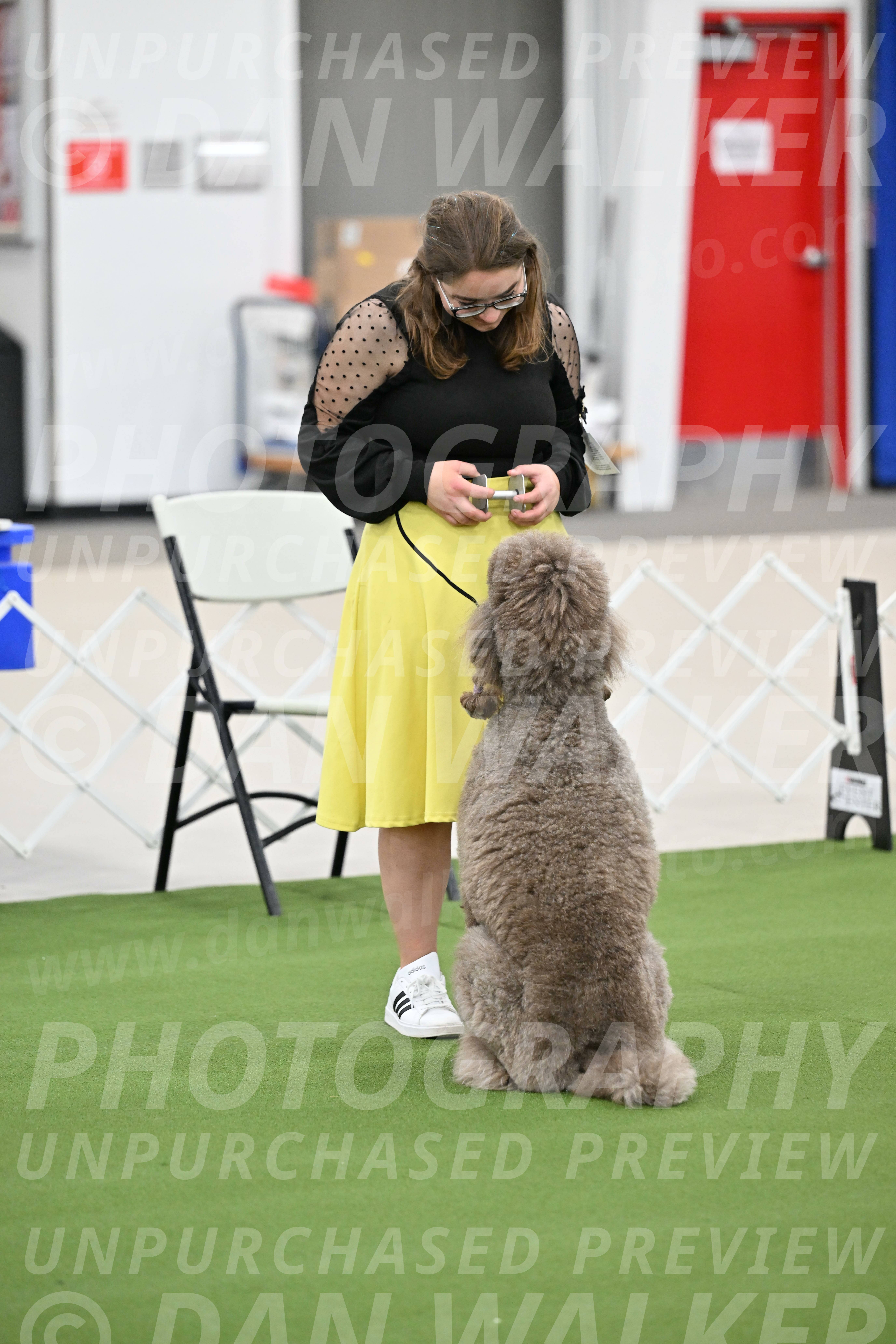 Ring-1-Afternoon-Obedience_2269