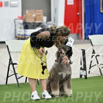 Ring-1-Afternoon-Obedience_2271