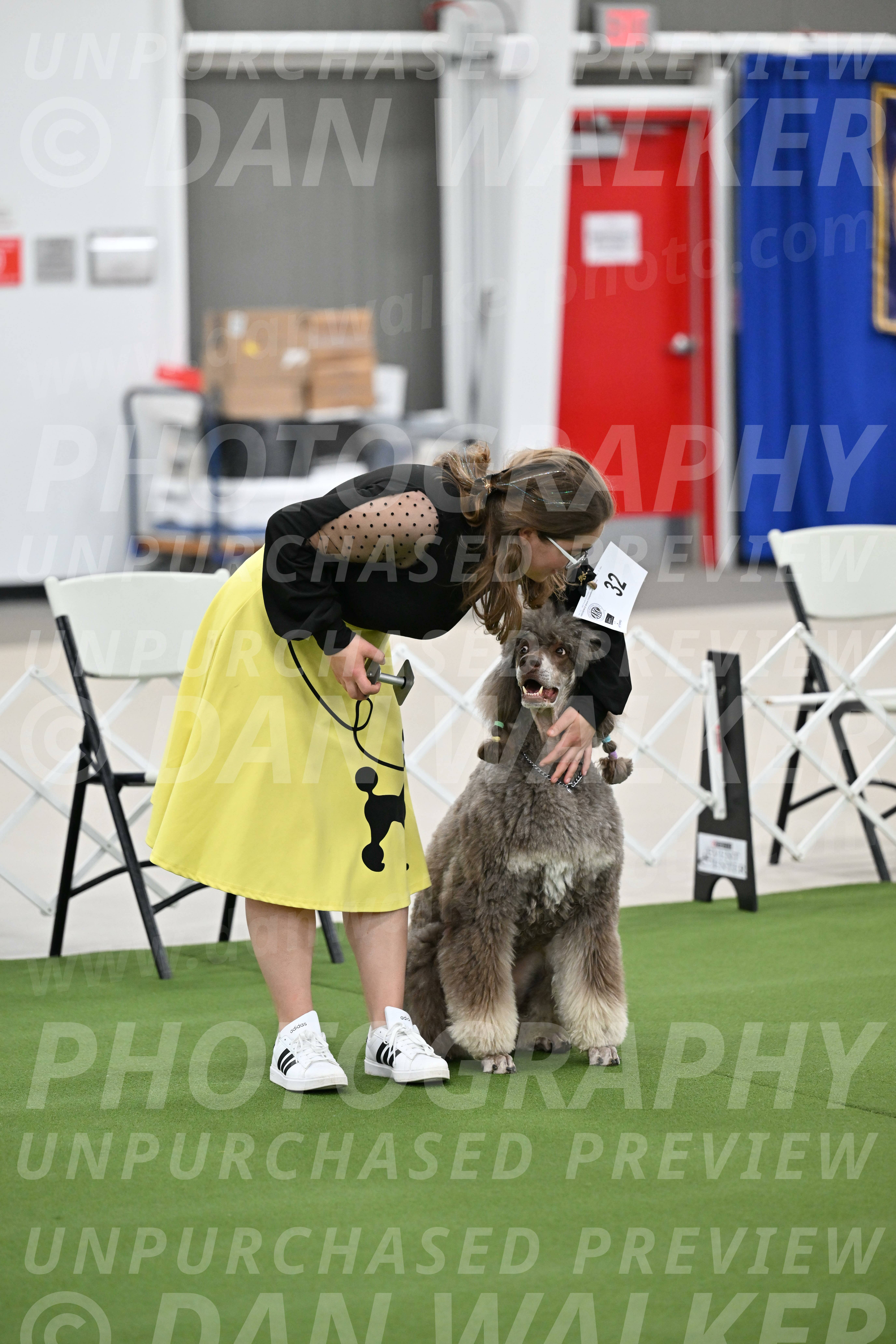 Ring-1-Afternoon-Obedience_2271