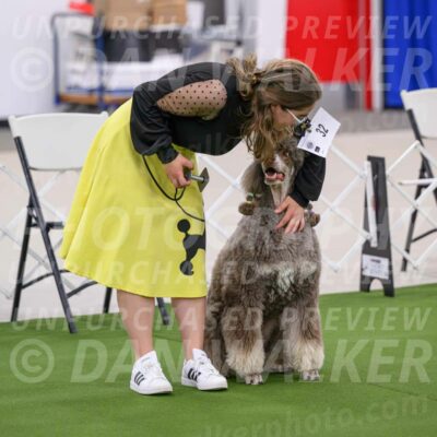 Ring-1-Afternoon-Obedience_2272-Enhanced-NR