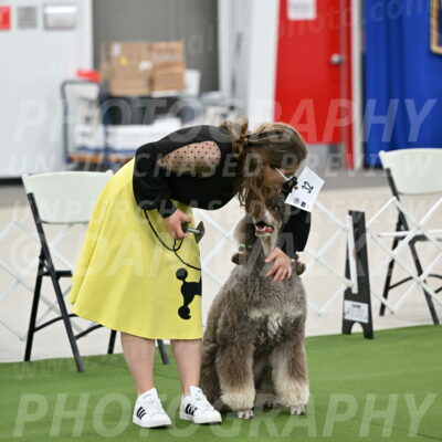 Ring-1-Afternoon-Obedience_2272