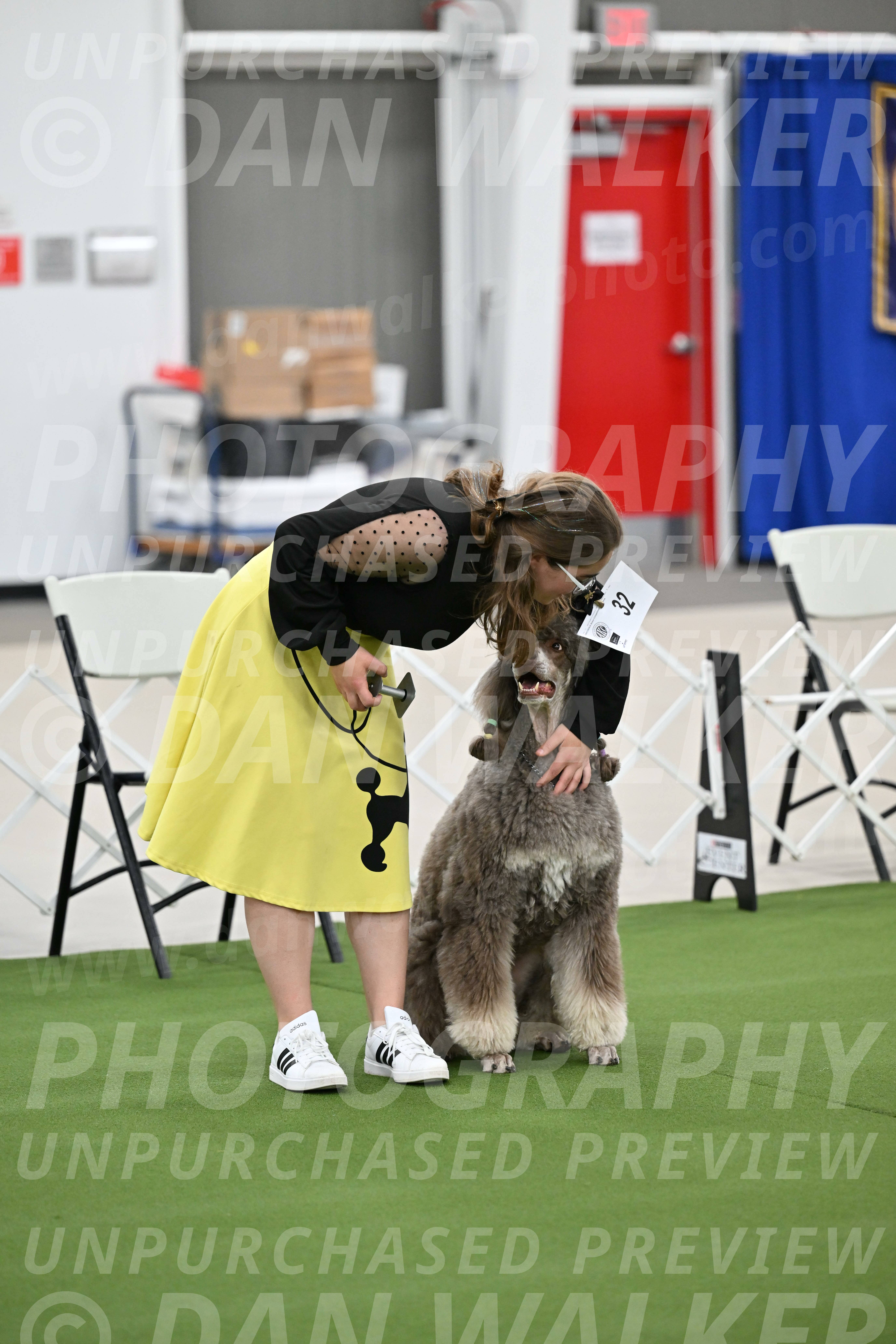 Ring-1-Afternoon-Obedience_2272