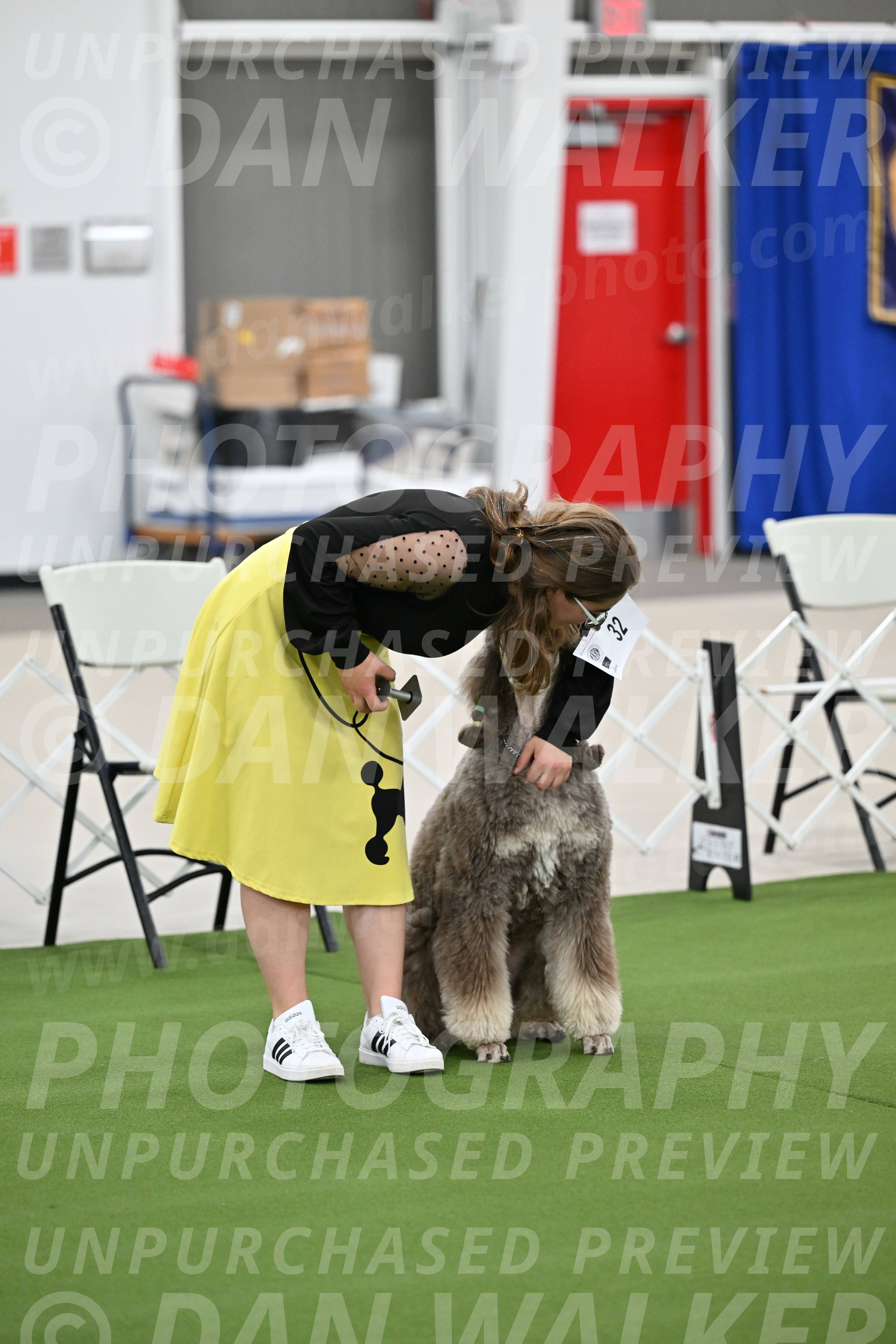 Ring-1-Afternoon-Obedience_2274