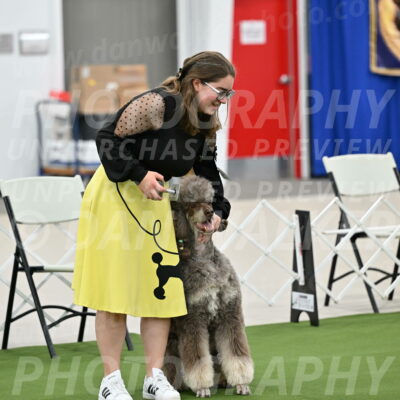 Ring-1-Afternoon-Obedience_2275