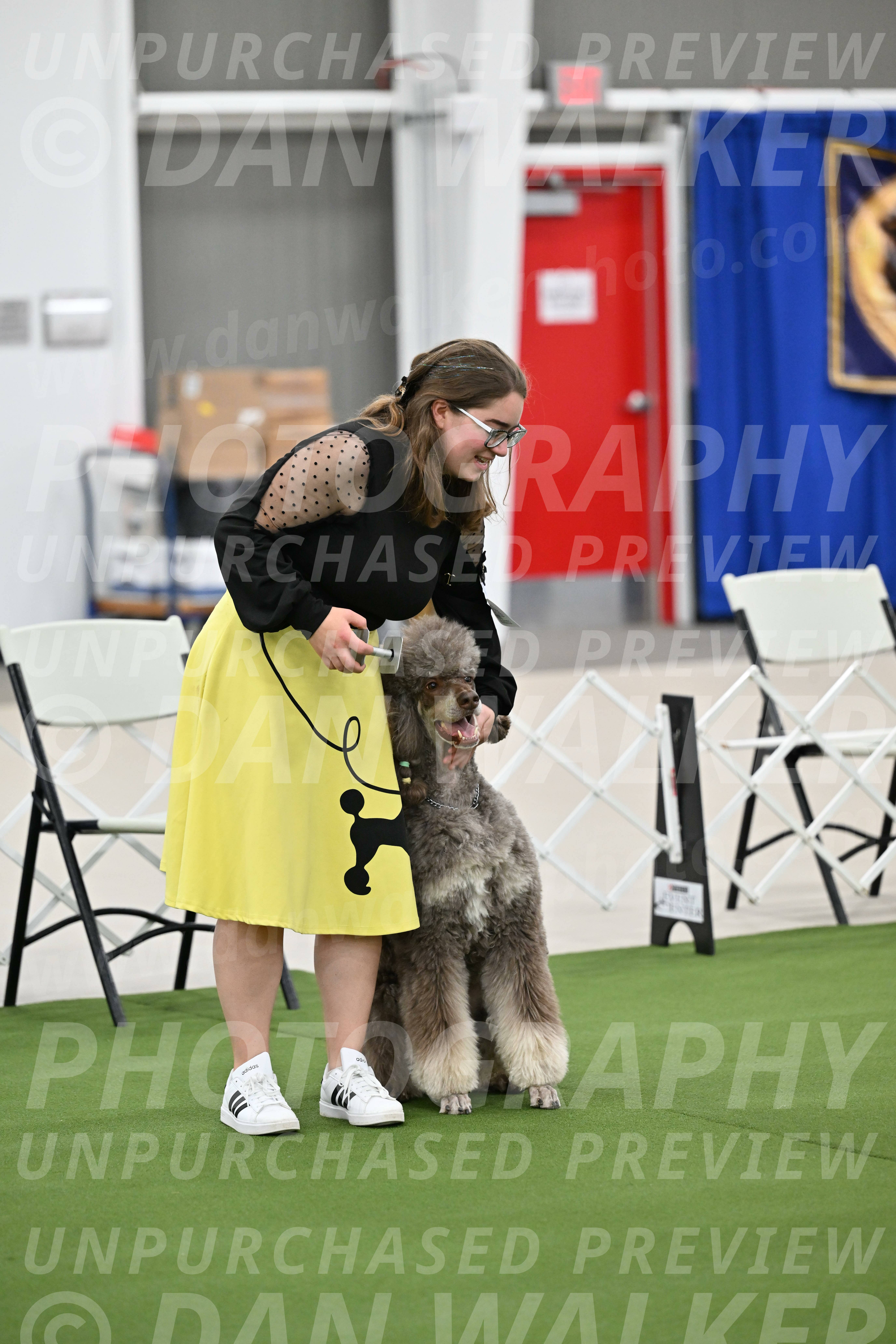 Ring-1-Afternoon-Obedience_2275