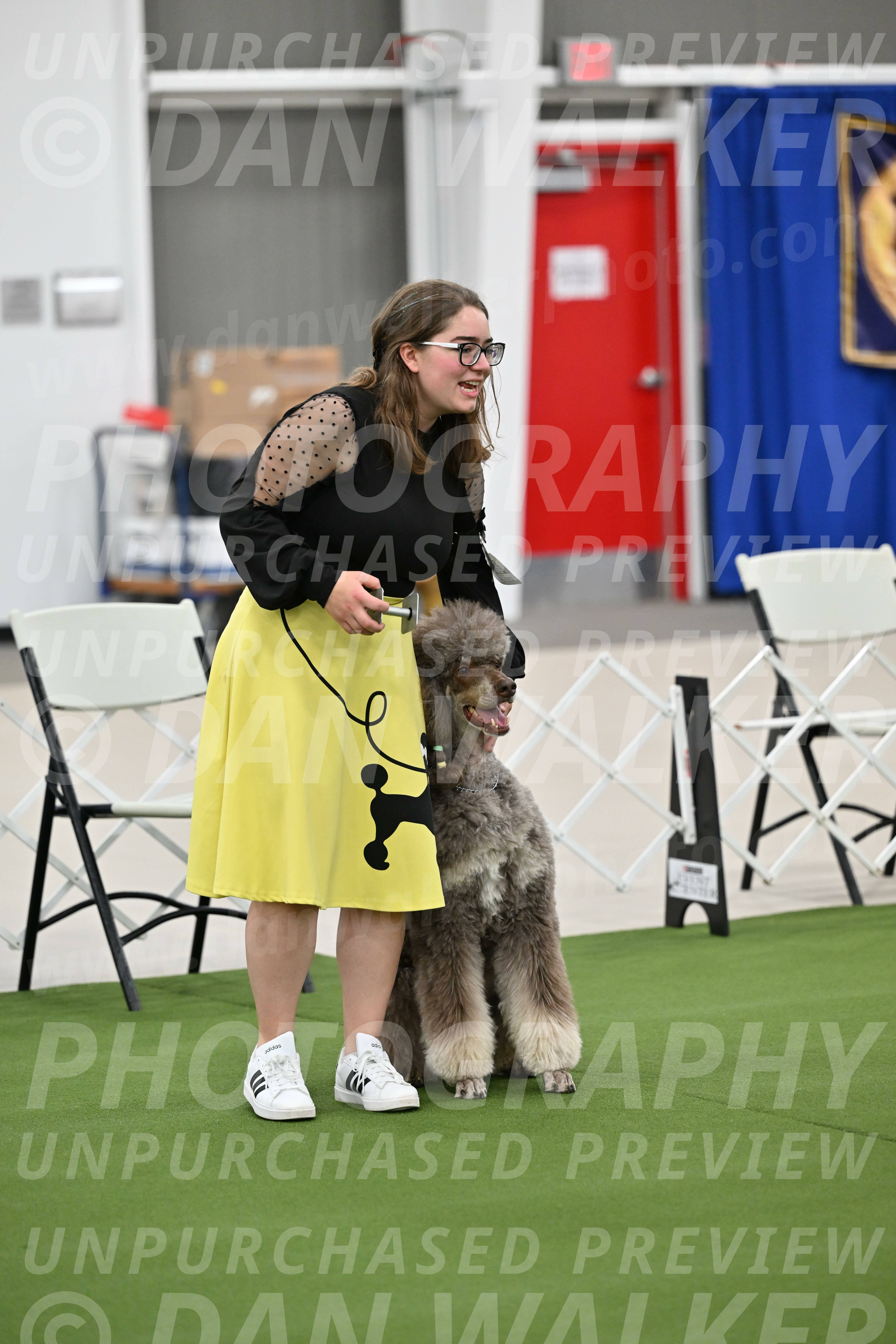 Ring-1-Afternoon-Obedience_2277