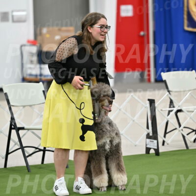 Ring-1-Afternoon-Obedience_2277