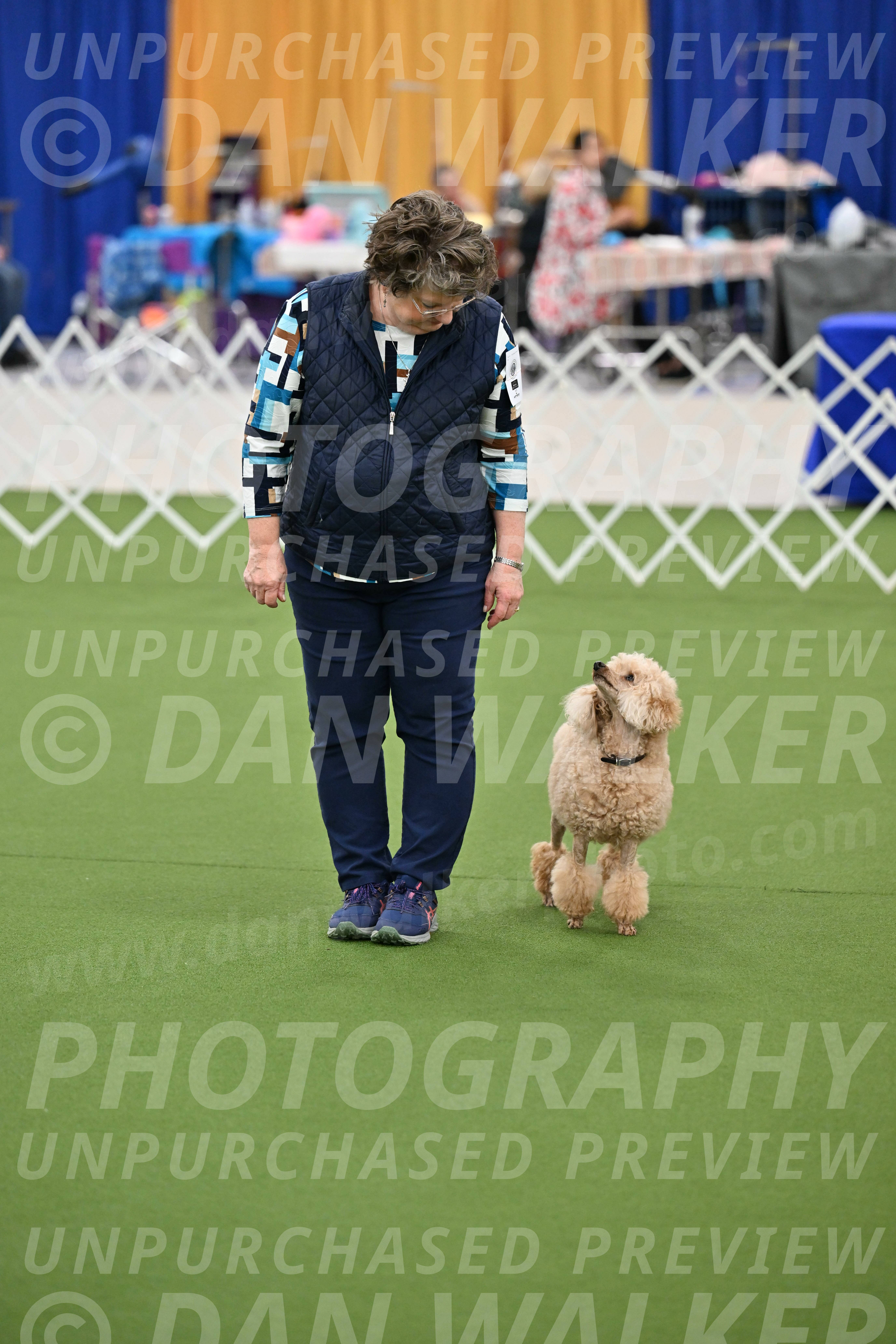 Ring-1-Afternoon-Obedience_2326