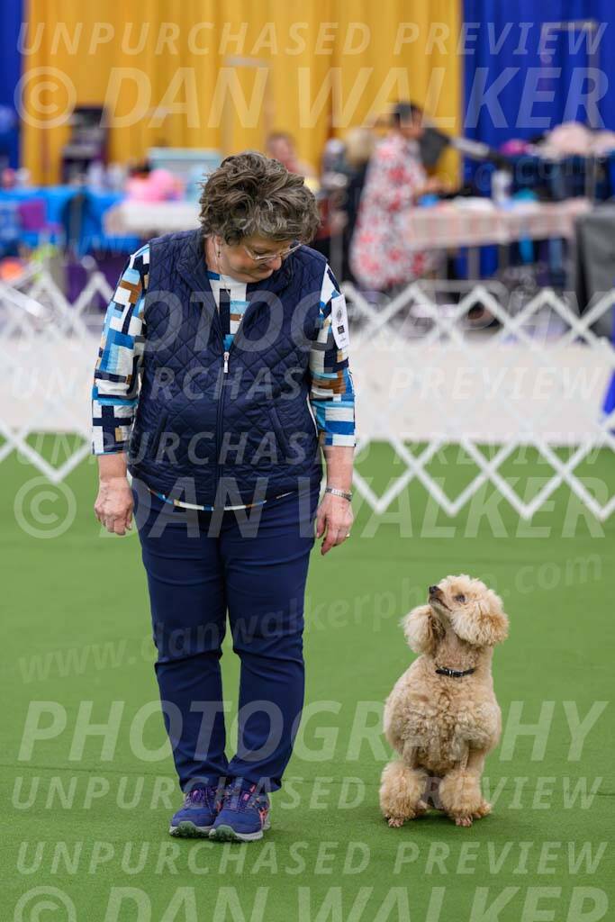 Ring-1-Afternoon-Obedience_2328-Enhanced-NR