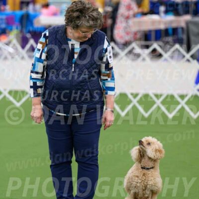 Ring-1-Afternoon-Obedience_2328-Enhanced-NR