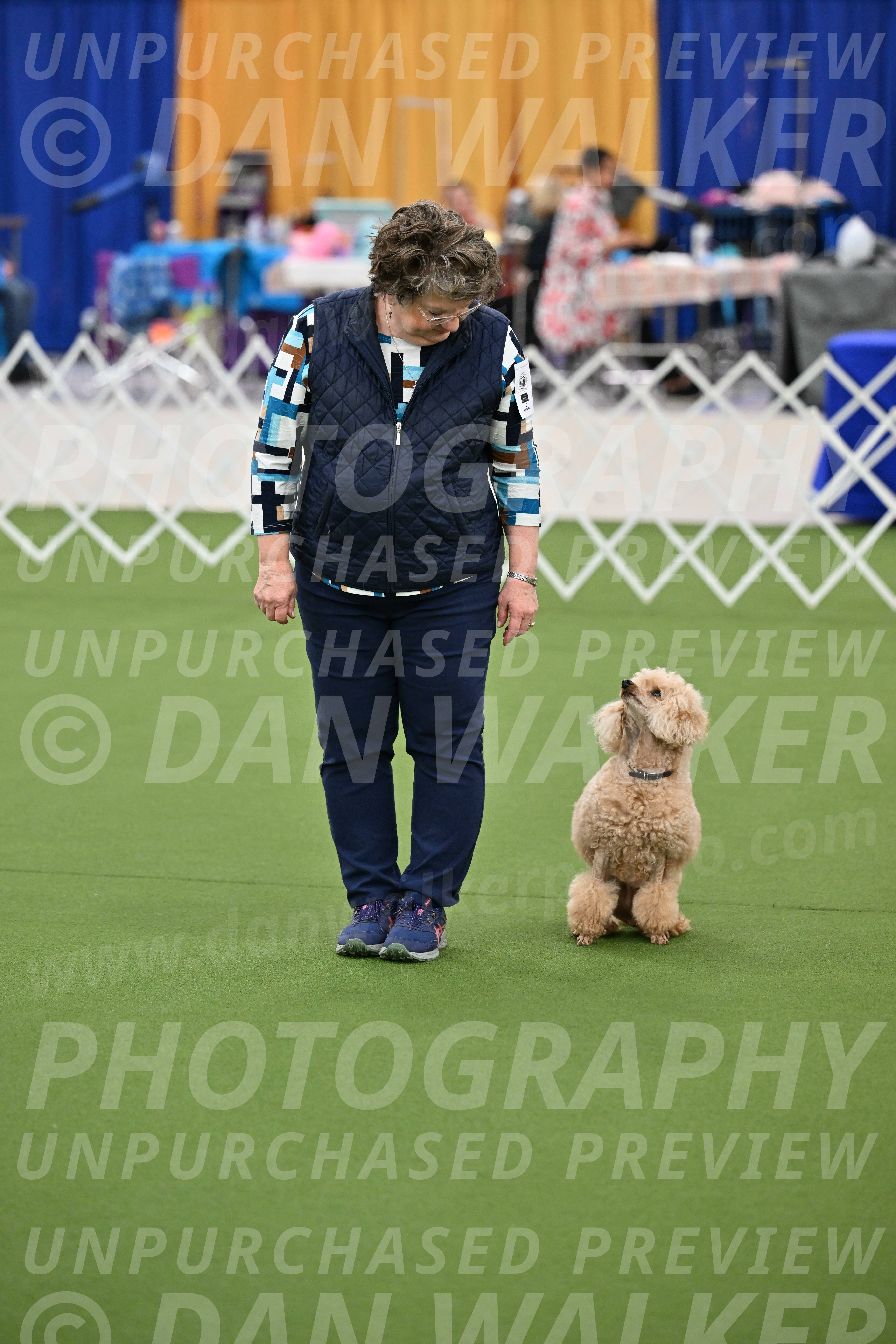 Ring-1-Afternoon-Obedience_2328