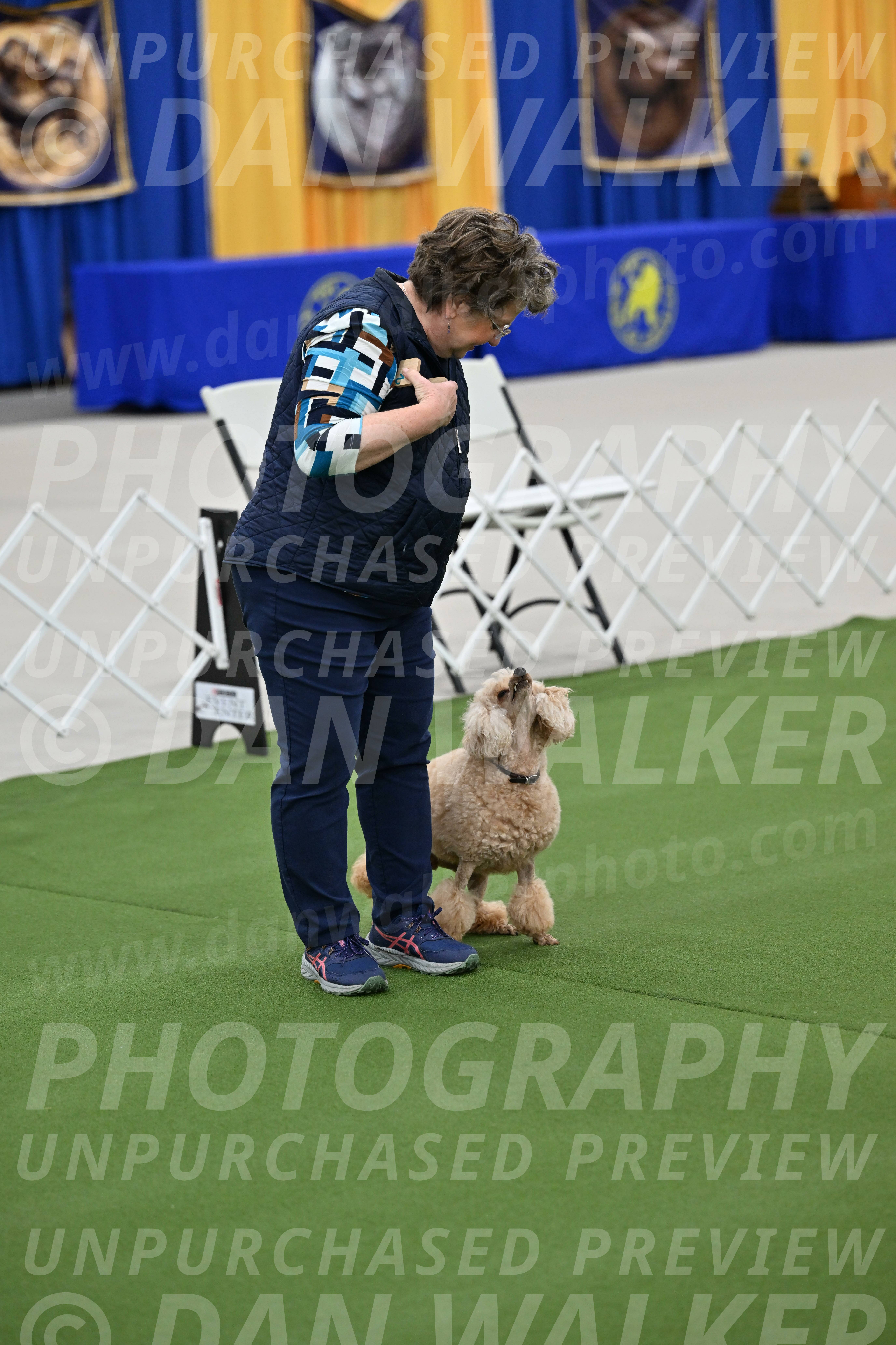 Ring-1-Afternoon-Obedience_2358