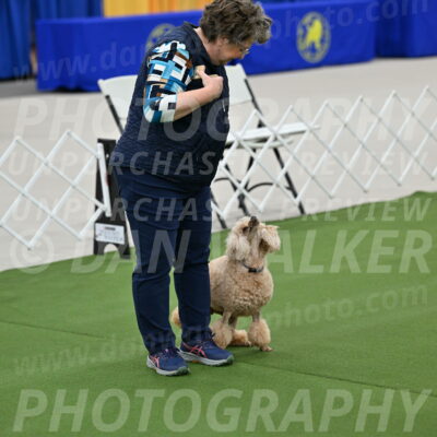 Ring-1-Afternoon-Obedience_2358