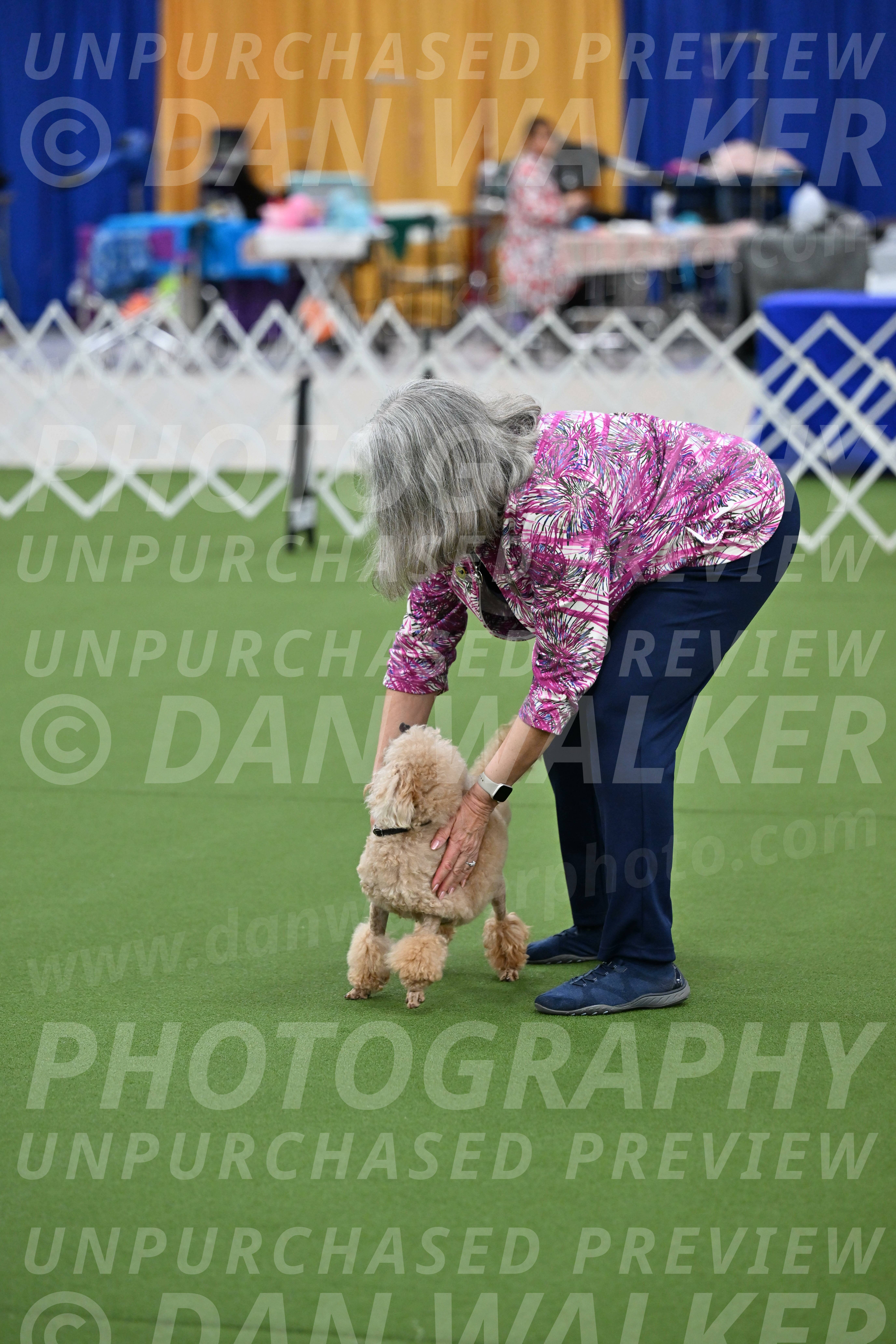 Ring-1-Afternoon-Obedience_2366