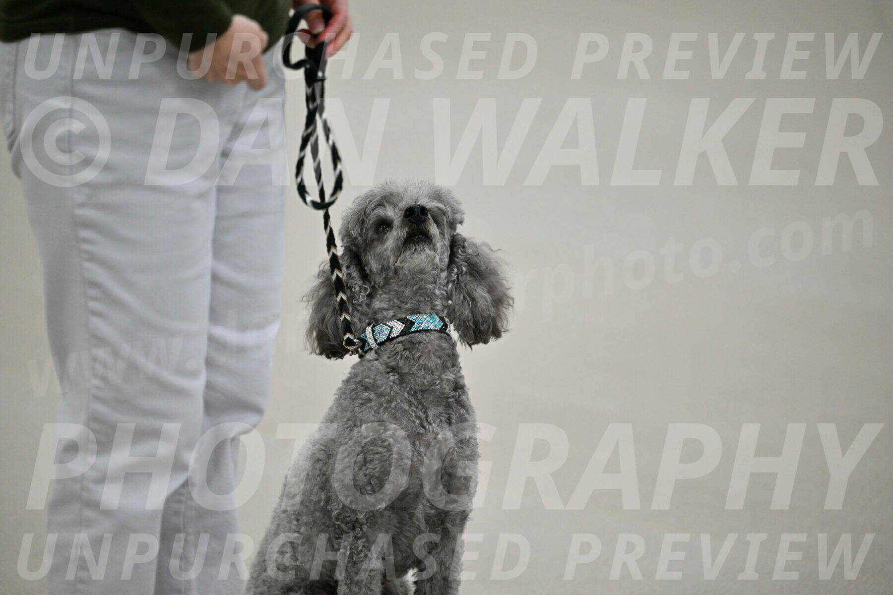 Ring-1-Morning-Obedience_0005