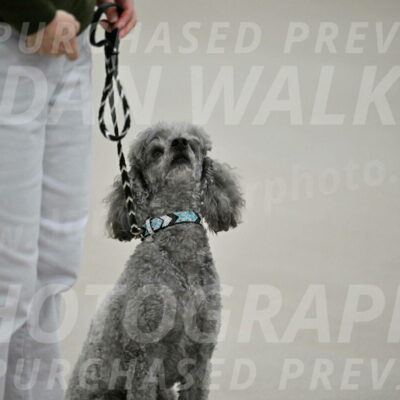 Ring-1-Morning-Obedience_0005