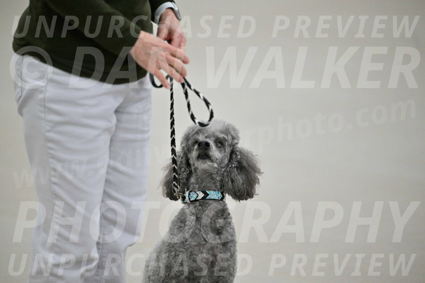 Ring-1-Morning-Obedience_0007