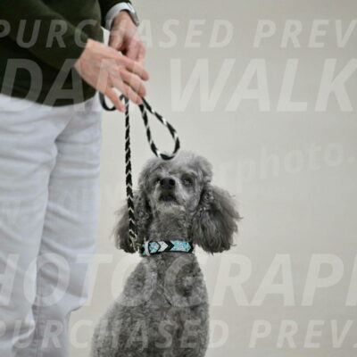 Ring-1-Morning-Obedience_0007