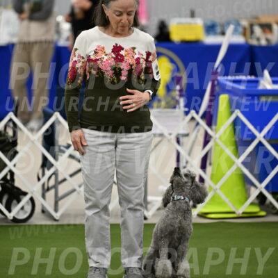 Ring-1-Morning-Obedience_0031